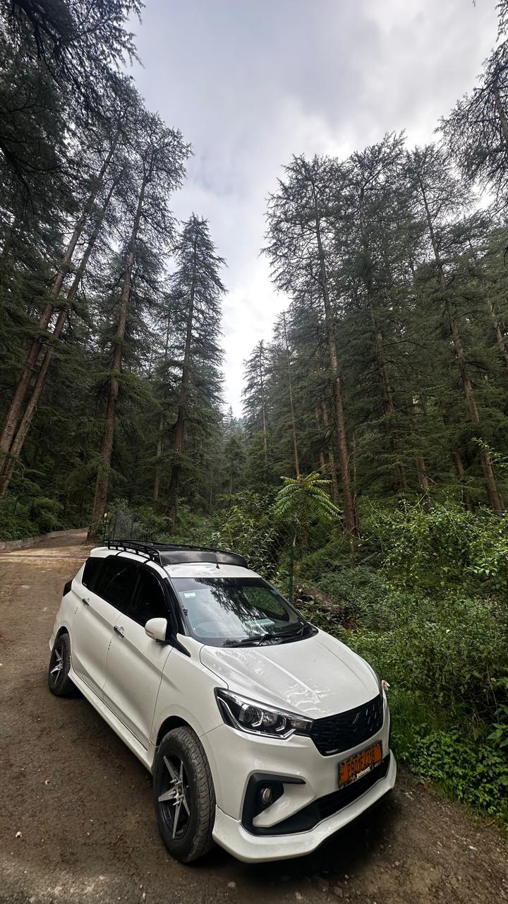 Mountain trip pine forest